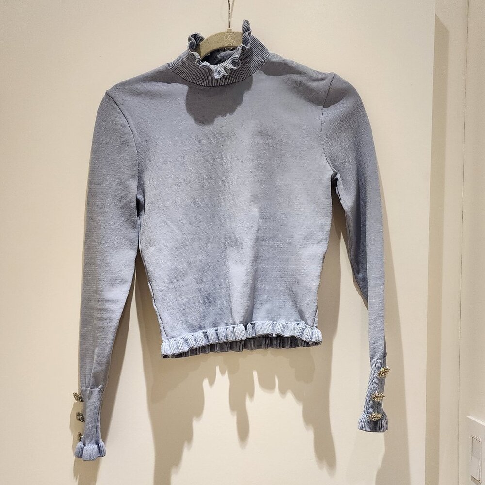 Zara Cropped Formal Top